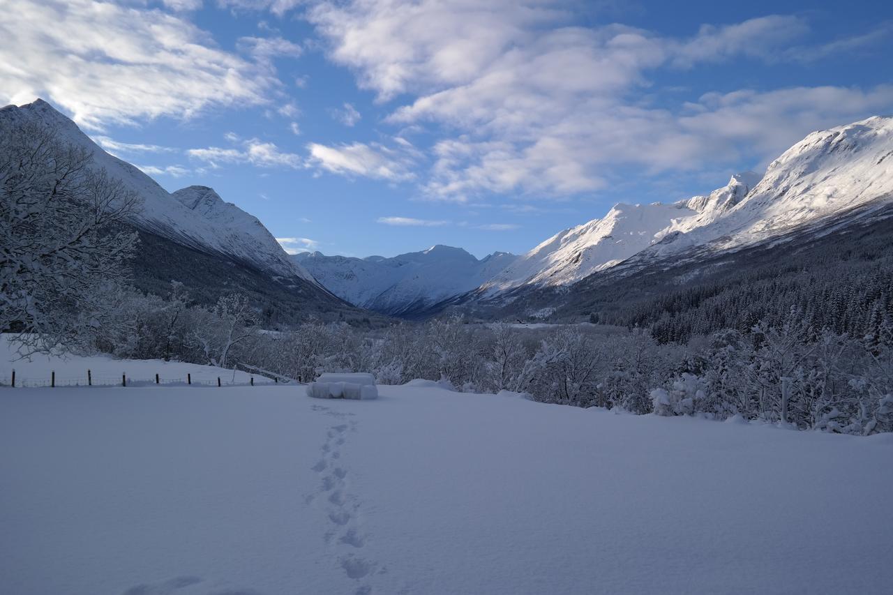 Phillipshaugen Lodge Oksendalsora ภายนอก รูปภาพ